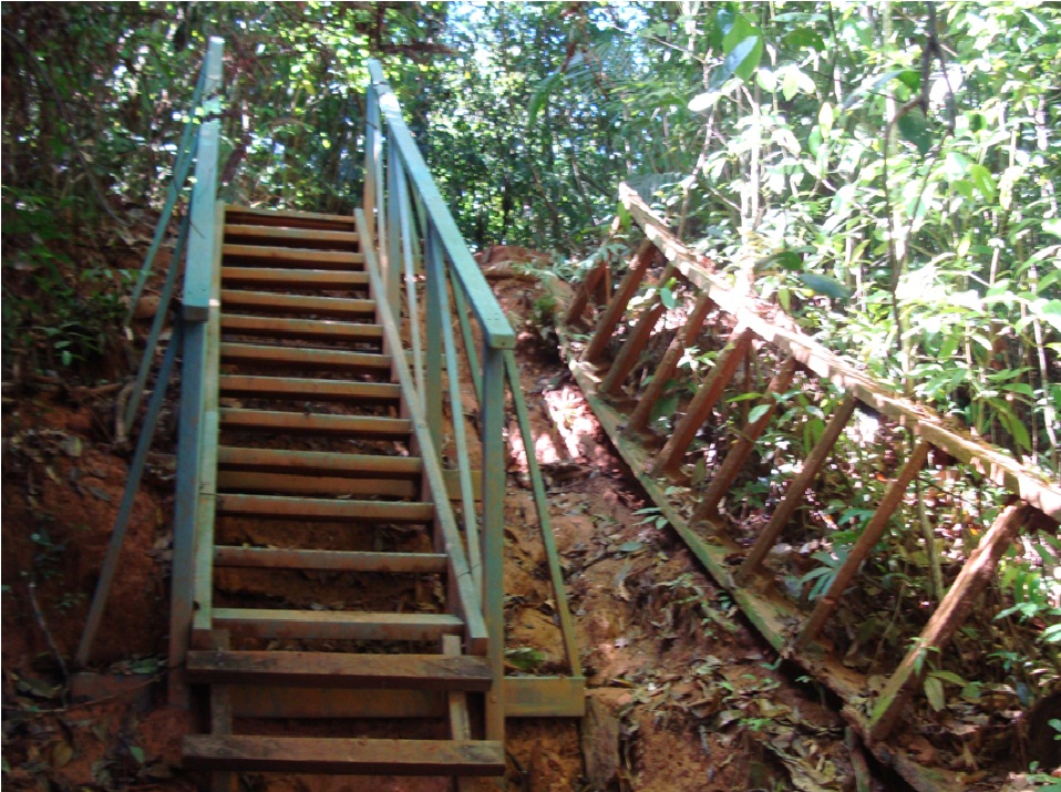 puentes escaleras caminos senderos escaleras para pasos inclinados subir pendientes resbalosas con escaleras maderas plásticas maderplast escalera de asenso peligroso resbaloso campo agrícola 2 puentes escaleras caminos senderos escaleras para pasos inclinados subir pendientes resbalosas con escaleras maderas plásticas maderplast escalera de asenso peligroso resbaloso campo agrícola 2